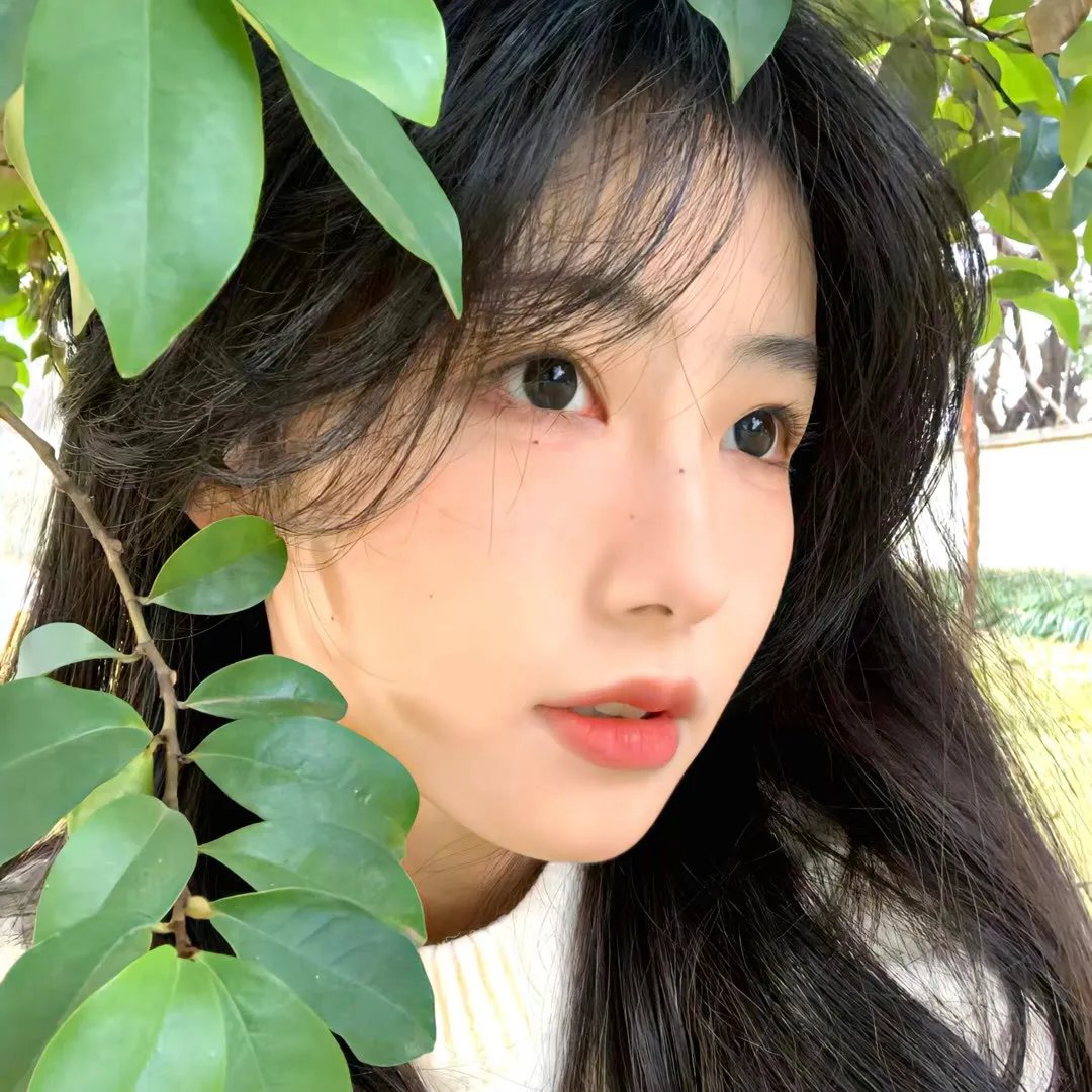 大奥第二季